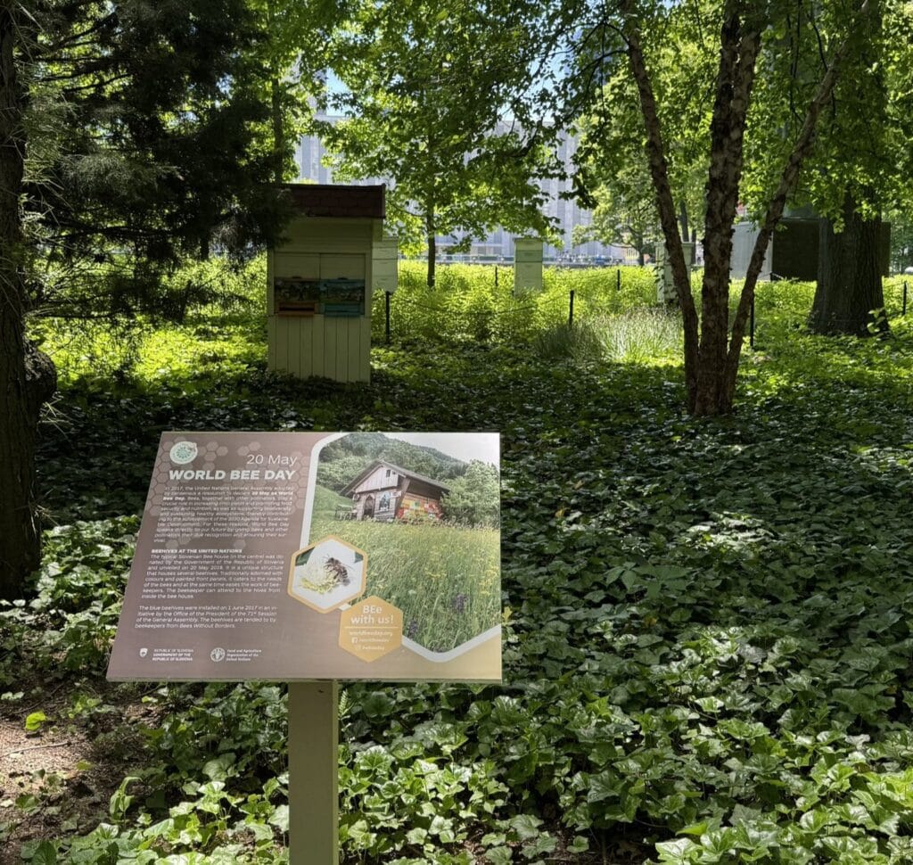 Čebelji panj v ozadju, na travi, pred njim tabla z napisom World Bee Day